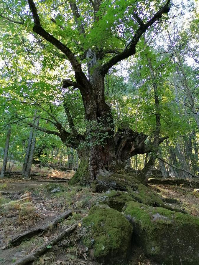 Вилла Ambroz Y Plata Альдеануэва-дель-Камино Экстерьер фото